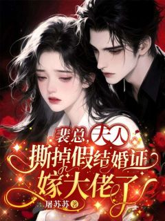 精彩小说沈云初裴淮言裴总，夫人撕掉假结婚证嫁大佬了全文目录畅读