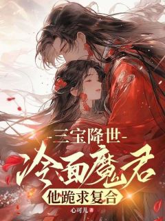三宝降世，冷面魔尊他跪求复合(全章节)-顾蔓秦天耀在线阅读