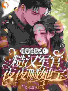 我马甲掉了，相亲对象干的苏阮顾振国-小说txt全文阅读