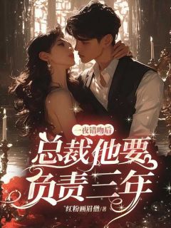 一夜错吻后，霸总他要负责三年傅小泗江寰小说全文-一夜错吻后，霸总他要负责三年小说