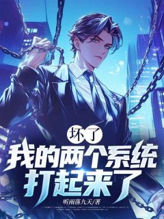 坏了，我的两个系统打起来了姜辰小美全章节目录免费阅读