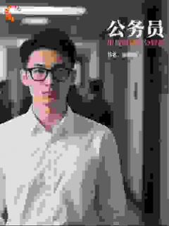 熬夜也要看完的公务员：用规则硬刚潜规则小说推荐