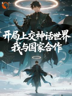 【开局上交神话世界，我与国家合作】主角(林宇张天奇)在线阅读