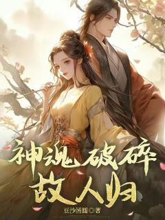 神魂破碎故人归by豆沙汤圆(夕月菲菲)未删节免费阅读