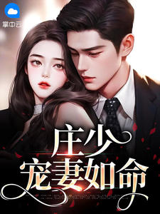 主人公魏星庄向羽小说庄少宠妻如命在线全文阅读