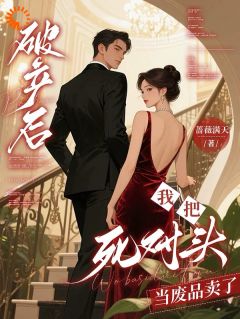 [抖音]小说苏晚陆寒琛破产后，我把死对头当废品卖了