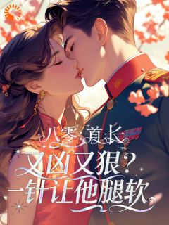 主角叶见微沈定辰小说爆款八零：首长凶又狠？一针让他腿软完整版小说