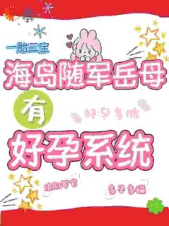 爆款小说由作者叶修老婆所创作的海岛随军岳母有好孕系统在线阅读