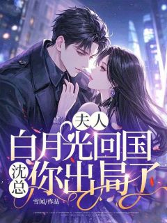 主角沈堰清盛妤的小说作者雪闻