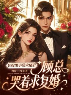 抖音盛宁顾千帆小说叫什么名字