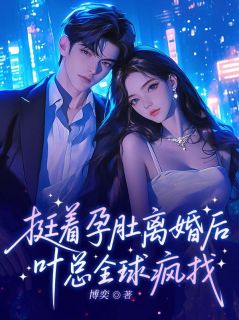 挺着孕肚离婚后，叶总全球疯找免费小说作者博奕全文阅读