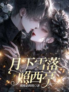 月下雪落照西亭姜繁花盛淮庭齐景程全章节目录免费阅读-二筒文学网