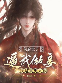 爆款小说侯府世子逼我做妾，可我是真男人诶主角宋听云顾承允全文在线完本阅读-二筒文学网