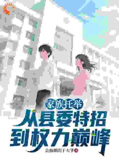 会抽烟的于大爷写的小说家族托举：从县委特招到权力巅峰许汉生苏晴全文阅读