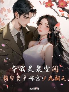 夺我灵泉空间？掏空资产嫁京少爽翻天（许如烟贺连城）精彩小说目录阅读