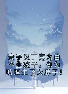 丁克宋清思小说最后结局  丁克宋清思完结版免费阅读