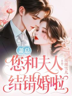 萧总，您和夫人结错婚啦小说(完结)-洛念予萧柏寒无删减阅读