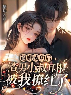 主角是秦晚晚陆戟的小说叫什么逼婚成功后，渣男小叔耳根被我撩红了免费全文阅读