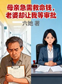 陈安杨淑琦主角小说母亲急需救命钱，老婆却让我等审批抖音文免费阅读全文