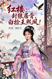 红楼：封狼居胥，白捡王熙凤！小说_红楼：封狼居胥，白捡王熙凤！小说结局阅读-二筒文学网