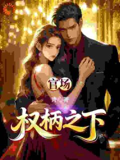 无弹窗小说官路：权柄之下 作者靑心