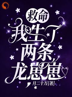 救命，我生了两条龙崽崽(全章节)-盛年娆陆司霑在线阅读