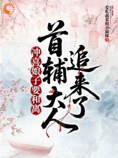 冲喜娘子要和离，首辅大人追来了苏云锦陆景和-爱吃蔬菜的小猫咪小说-二筒文学网