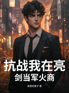 抗战我在亮剑当军火商未删减阅读