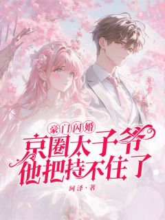 (抖音)豪门闪婚，京圈太子爷他把持不住了何念念薛以怀小说免费全文阅读