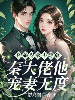 闪婚对象不简单，秦大佬他宠妻无度在线全文阅读-主人公盛嫣秦彧小说