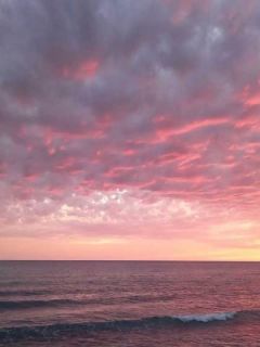 陪妻子演戏十年，只为看她下场林栋徐雅-西北射天狼小说-二筒文学网