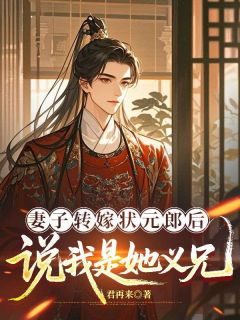 妻子转嫁状元郎后，说我是她义兄by君再来