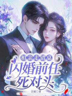 （全集-免费）相亲走错桌，闪婚前任死对头完本小说_桑晚沈斫年季泽修全文免费阅读