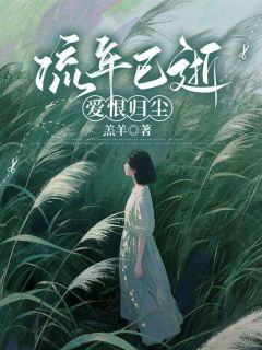 (抖音小说)林沫林锋小说全文阅读免费