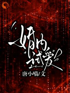 【婚内试爱】小说在线阅读-婚内试爱免费版目录阅读全文