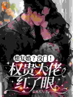 全章节小说离婚带崽后，前夫他挂身上了温迪大大最新阅读