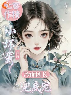 无广告小说七零作精小坏蛋，冷面团长兜底宠-秦岁岁傅砚安在线阅读