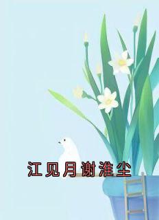 抖音完结江见月谢淮尘格桑持明(全文在线阅读)
