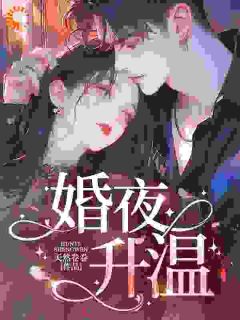 主角是桑晚沈少白的四年青春喂了狗，我转身闪婚大佬抖音热门小说