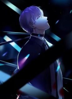 (精品)京夜无雪小说