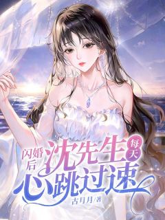 热门推荐闪婚后，沈先生每天心跳过速by古月月小说正版在线