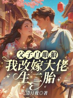 父子白眼狼？我改嫁大佬生二胎！(林清月傅念舟)最新章节试读-二筒文学网