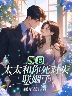 抖音小说顾总，太太和你死对头联姻了，主角沈岁晚霍砚修最后结局小说全文免费