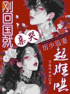 分手五年，傲娇前任他自我攻略了全文目录-林浅雾厉淮峥小说无弹窗阅读