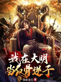 良心推荐我在大明当反骨逆子小说试读