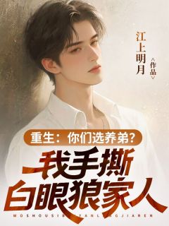 重生：你们选养弟？我手撕白眼狼家人(陆沉苏婉清)小说全章节目录阅读