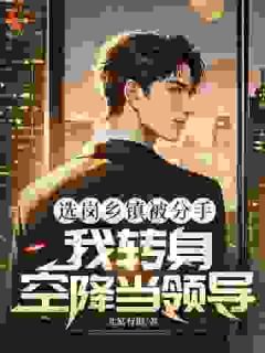 热门小说我转岗上级，前女友分手分早了完整版全文阅读-二筒文学网