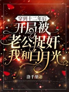 穿到十二年后，开局被老公捉奸我和白月光宋璃安沈嘉泽免费全章节目录阅读