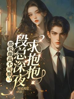 优质新书都说他高不可攀？段总深夜求抱抱最新章节小说全文阅读-二筒文学网