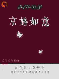 爆款小说惊！我嫁的京圈大佬是闺蜜小舅舅主角沈钦聿关舒意全文在线完本阅读